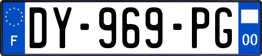 DY-969-PG