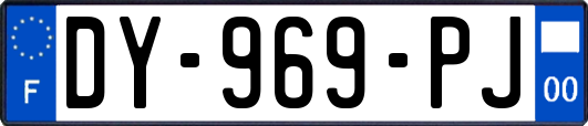 DY-969-PJ