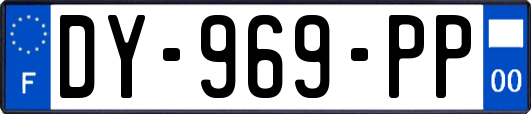 DY-969-PP