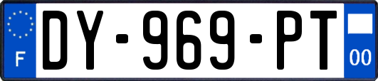 DY-969-PT