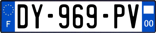 DY-969-PV