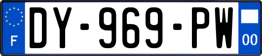 DY-969-PW