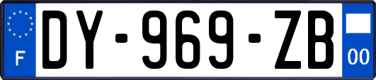 DY-969-ZB