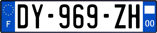 DY-969-ZH