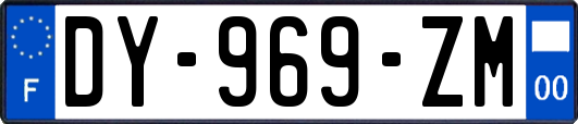 DY-969-ZM