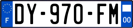 DY-970-FM
