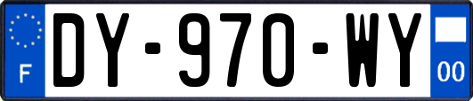 DY-970-WY