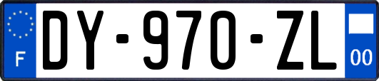 DY-970-ZL