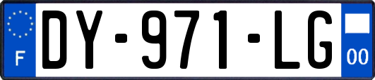 DY-971-LG