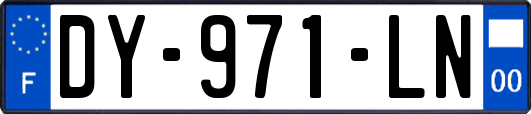 DY-971-LN