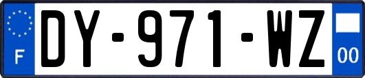 DY-971-WZ