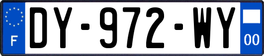 DY-972-WY