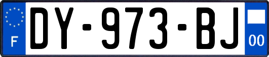 DY-973-BJ