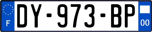 DY-973-BP