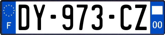 DY-973-CZ