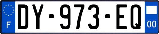 DY-973-EQ