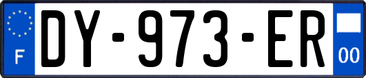 DY-973-ER