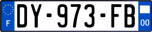 DY-973-FB