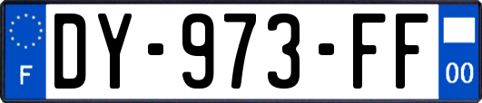 DY-973-FF