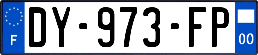 DY-973-FP