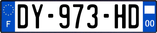 DY-973-HD