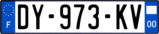 DY-973-KV