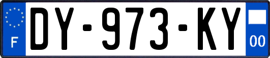 DY-973-KY