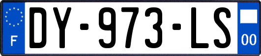 DY-973-LS