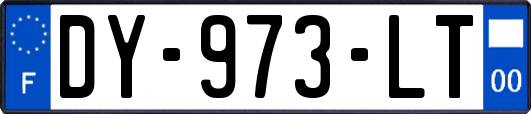 DY-973-LT