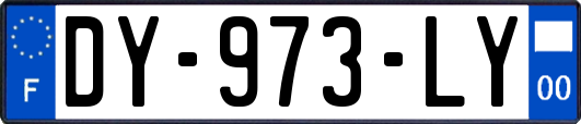 DY-973-LY