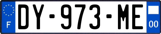 DY-973-ME