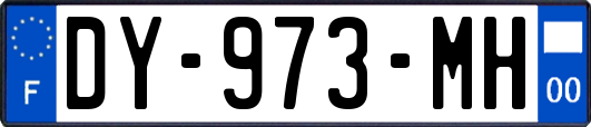 DY-973-MH