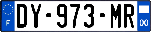 DY-973-MR