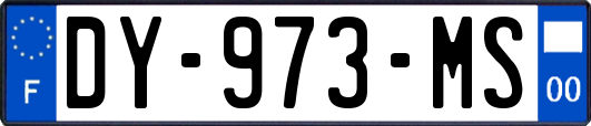 DY-973-MS