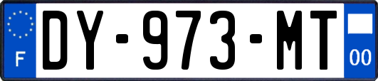 DY-973-MT