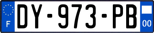 DY-973-PB
