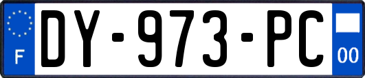 DY-973-PC