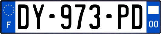 DY-973-PD