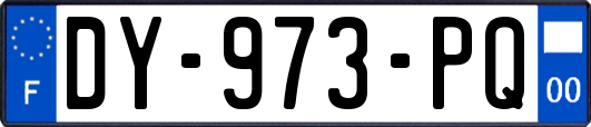 DY-973-PQ