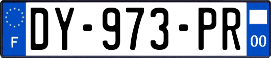 DY-973-PR