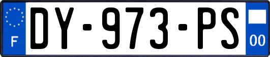 DY-973-PS