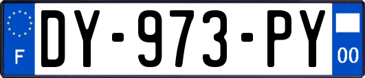 DY-973-PY