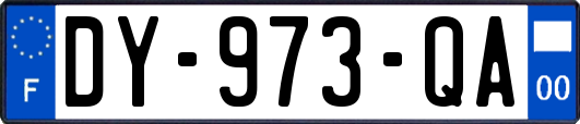 DY-973-QA