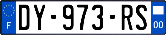 DY-973-RS