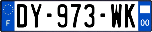 DY-973-WK