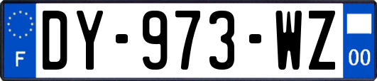 DY-973-WZ