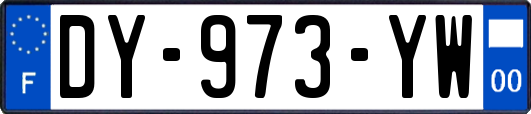 DY-973-YW