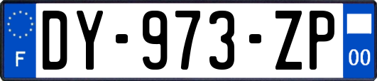 DY-973-ZP