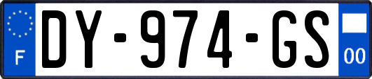 DY-974-GS