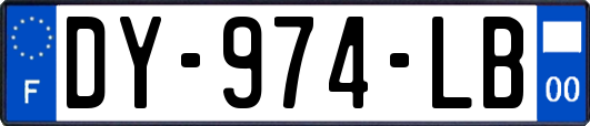 DY-974-LB